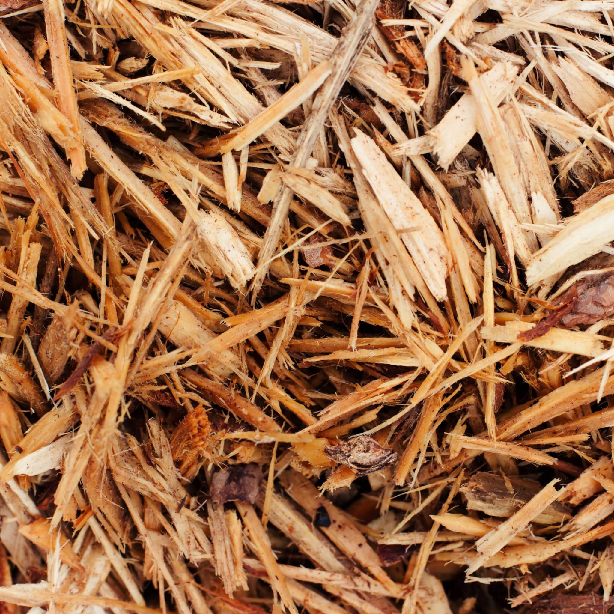 Mulch, Cypress Shredded