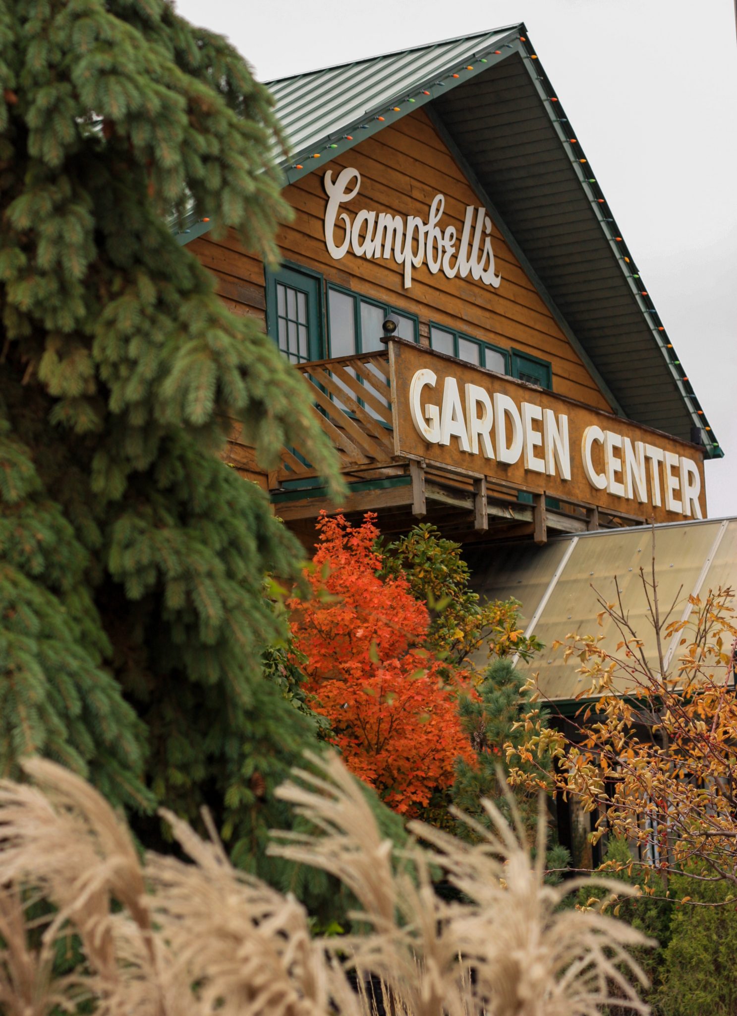 Garden Center Campbells Nursery