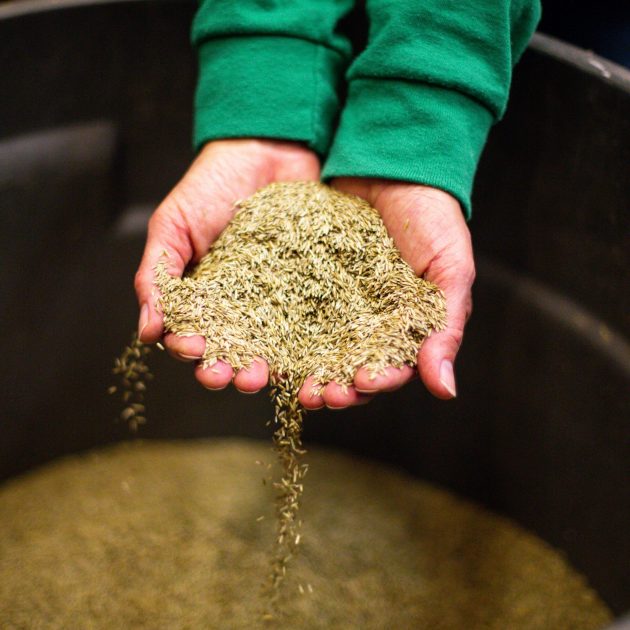 Perennial Rye Blend, Per Pound