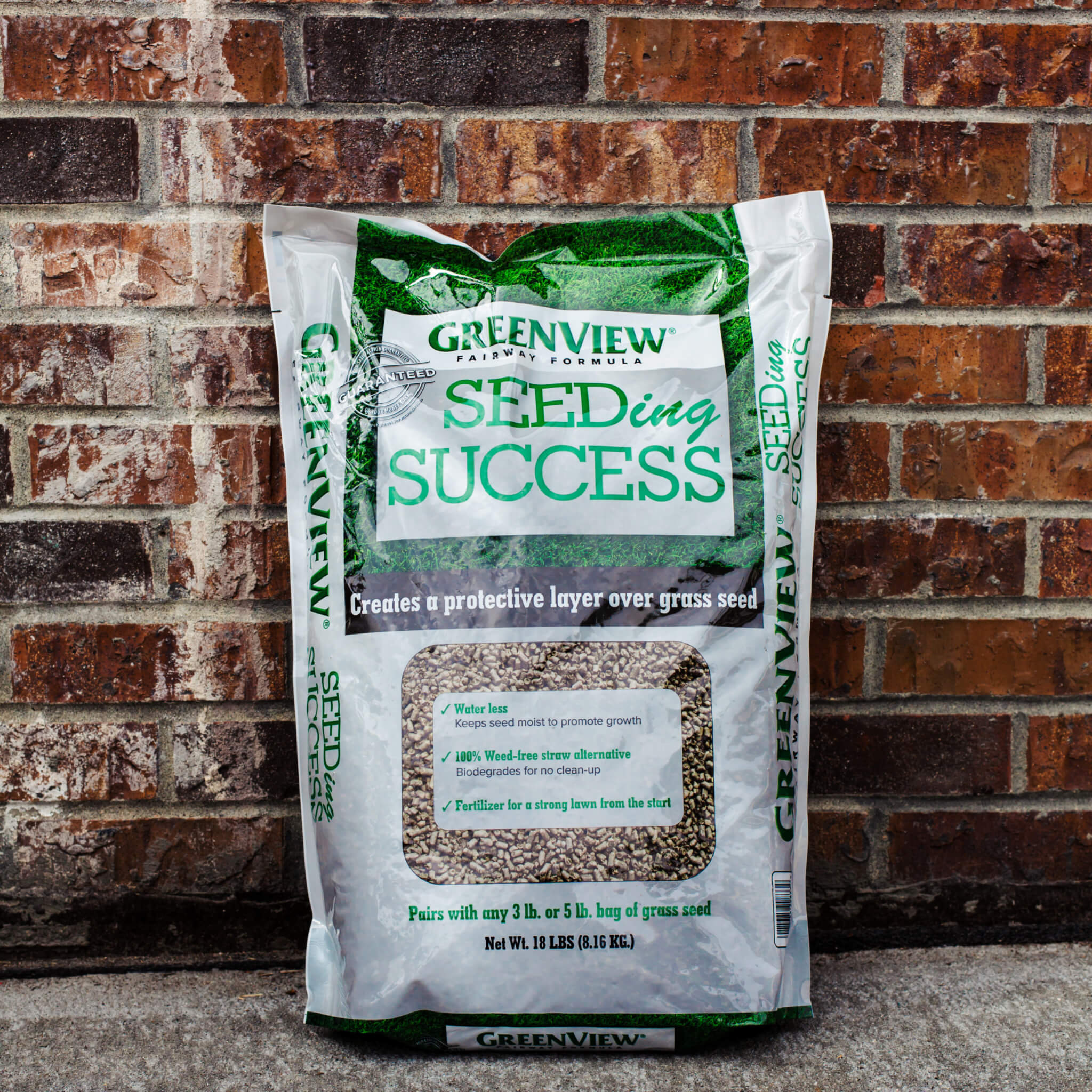 Greenview Fairway Formula Seed Success