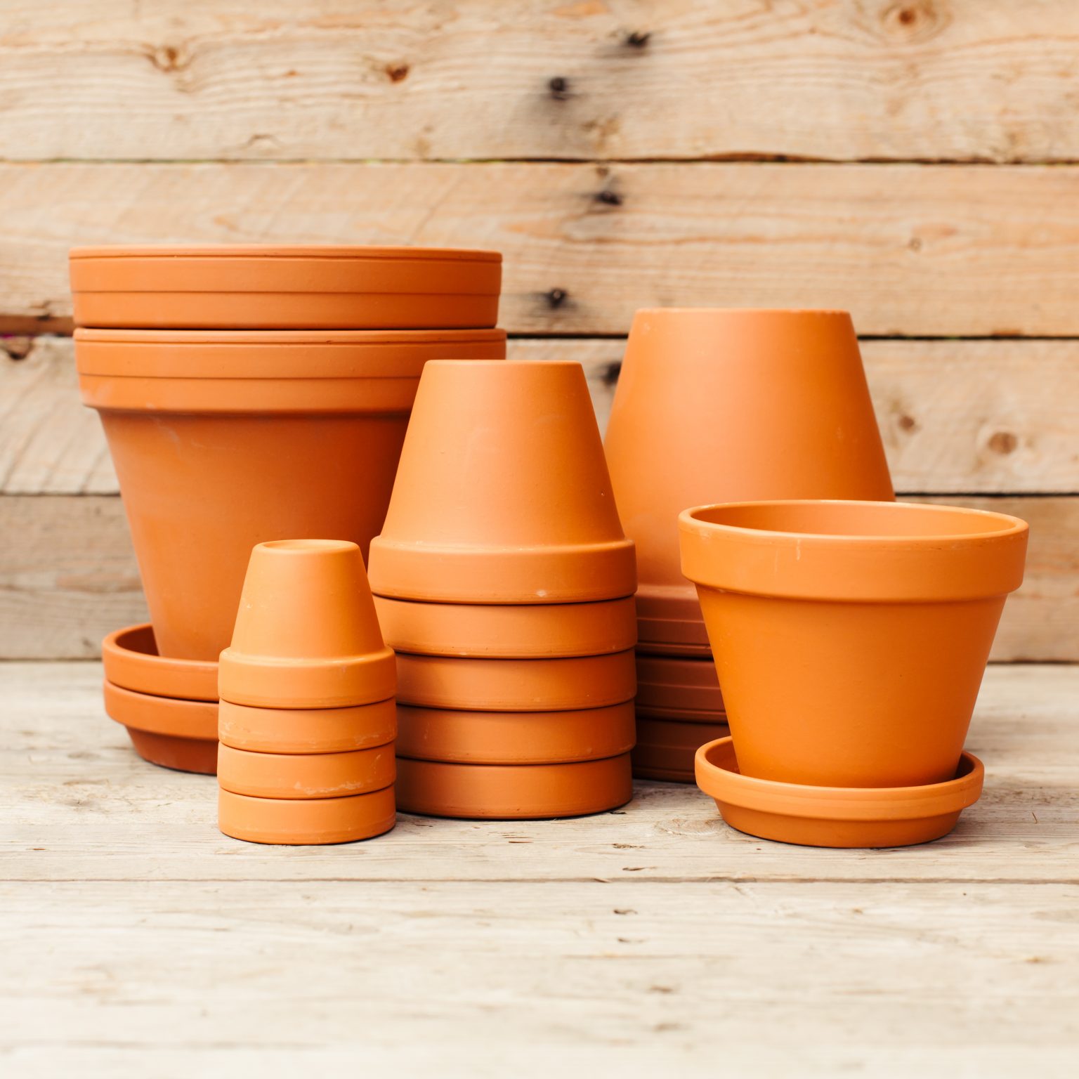 Houseplants, Pottery & Supplies Archives Campbell's Nursery