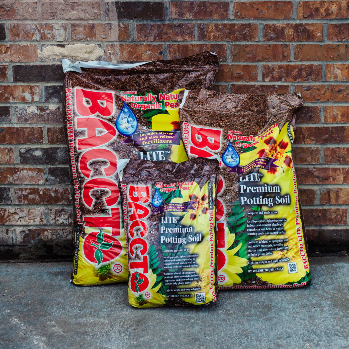 Baccto Lite Potting Soil Campbell's Nursery