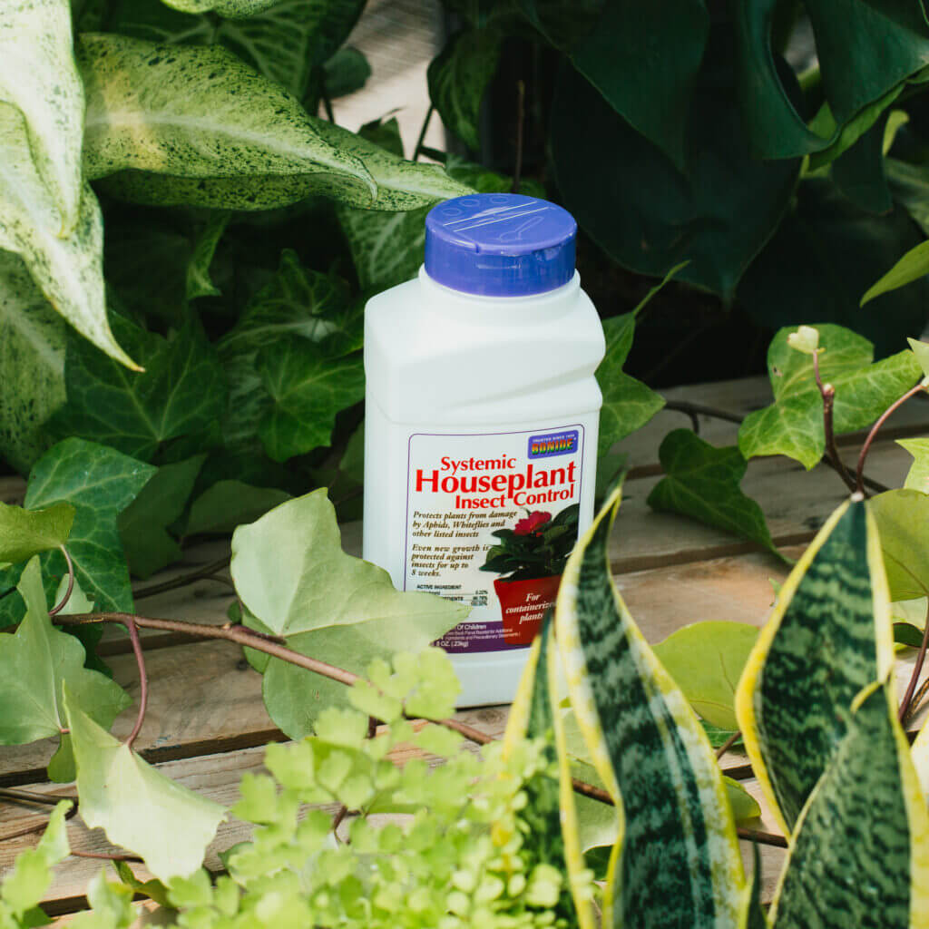 Bonide Systemic Houseplant Granules