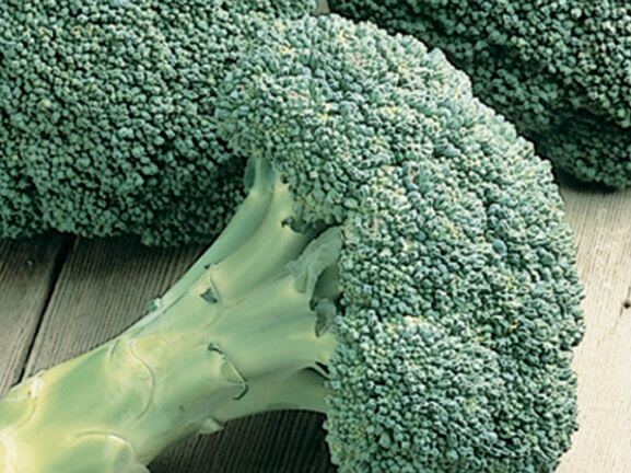Broccoli, Packman