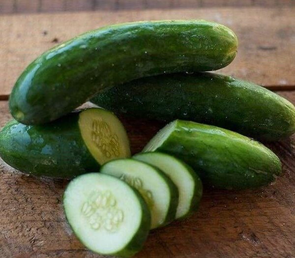 Cucumber, Diva