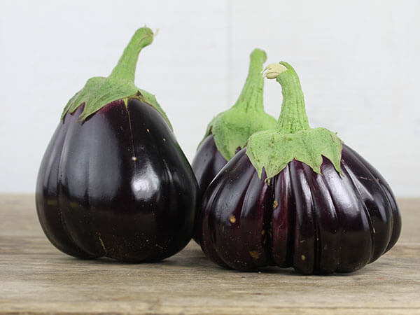 Eggplant, Black Beauty