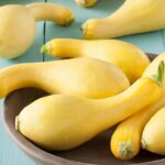 Squash, Early Summer Crookneck