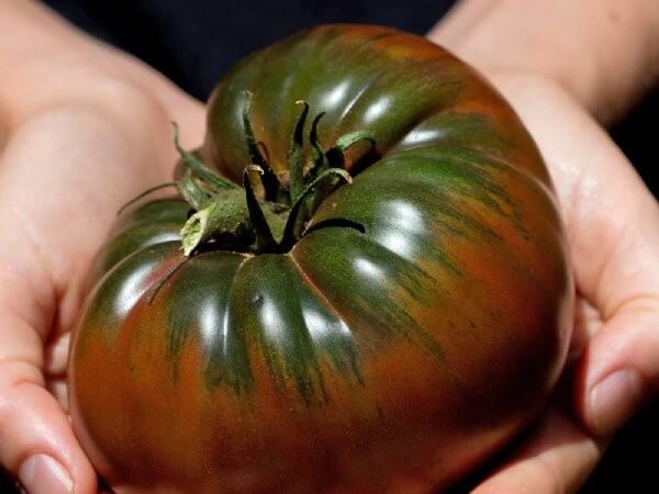 Tomato, Heirloom Black Krim