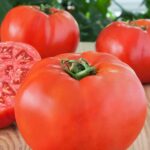 Tomato, Celebrity