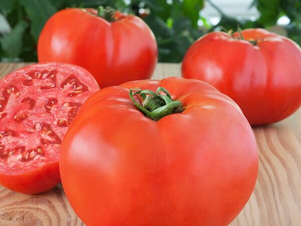 Tomato, Celebrity