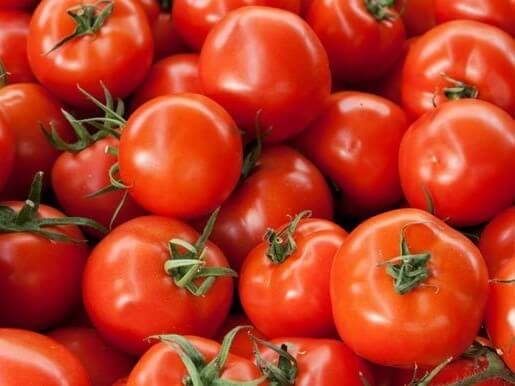 Tomato, Early Girl