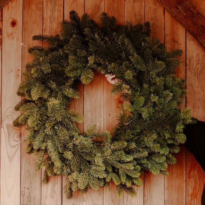 Live Wreath, Noble Fir