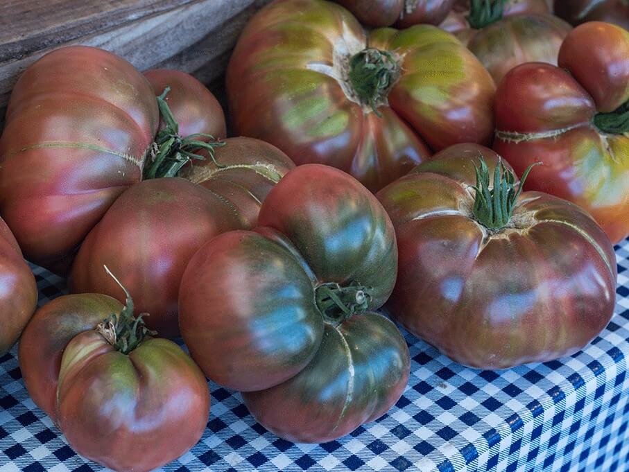 Tomato, Heirloom Cherokee Purple
