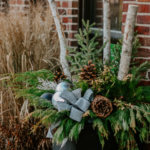 Designer Evergreen Planter Kit