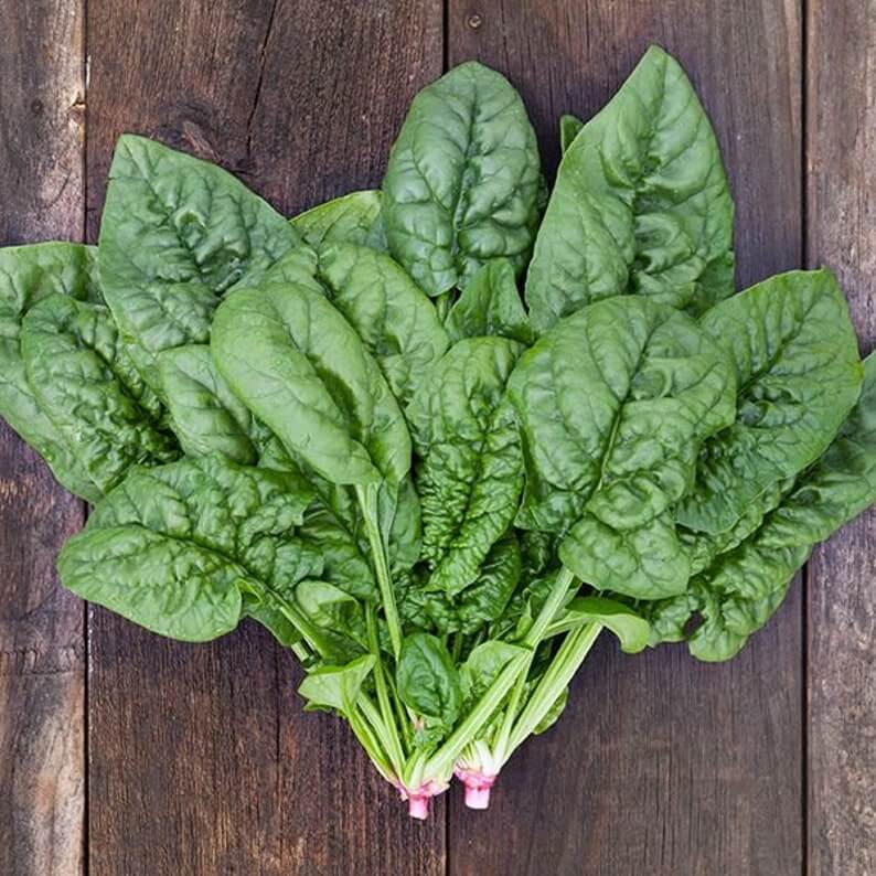 Spinach, Bloomsdale