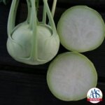 Kohlrabi, Konan