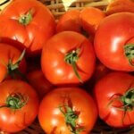Tomato, Jet Star