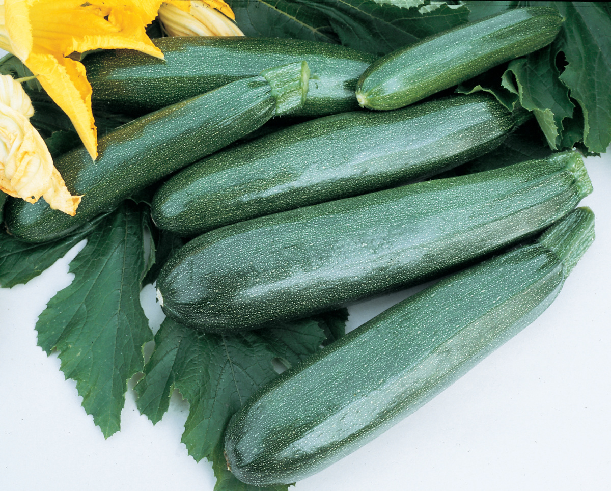 Zucchini, Balls