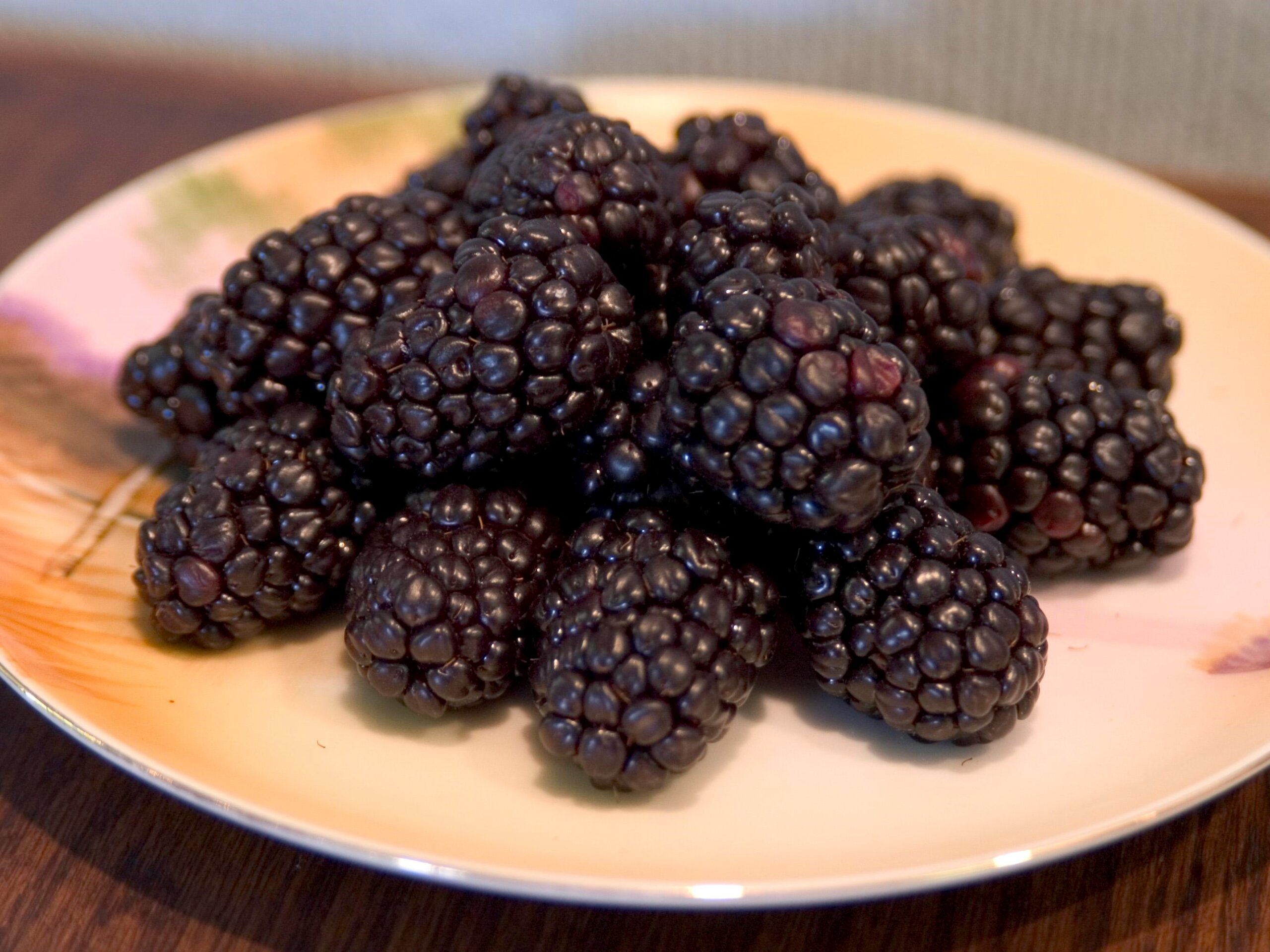 Raspberry, Black Bristol