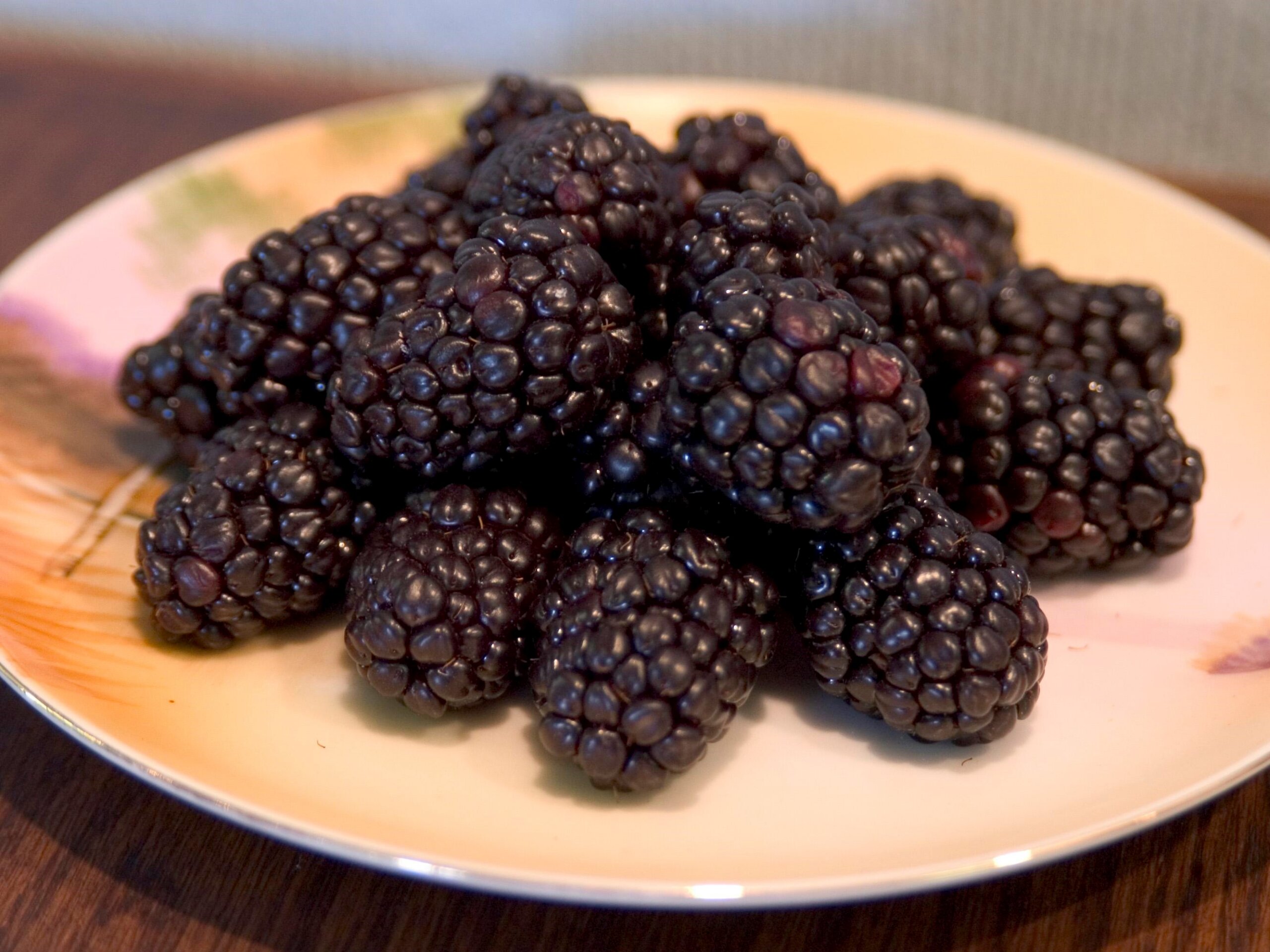 Raspberry, Black Bristol