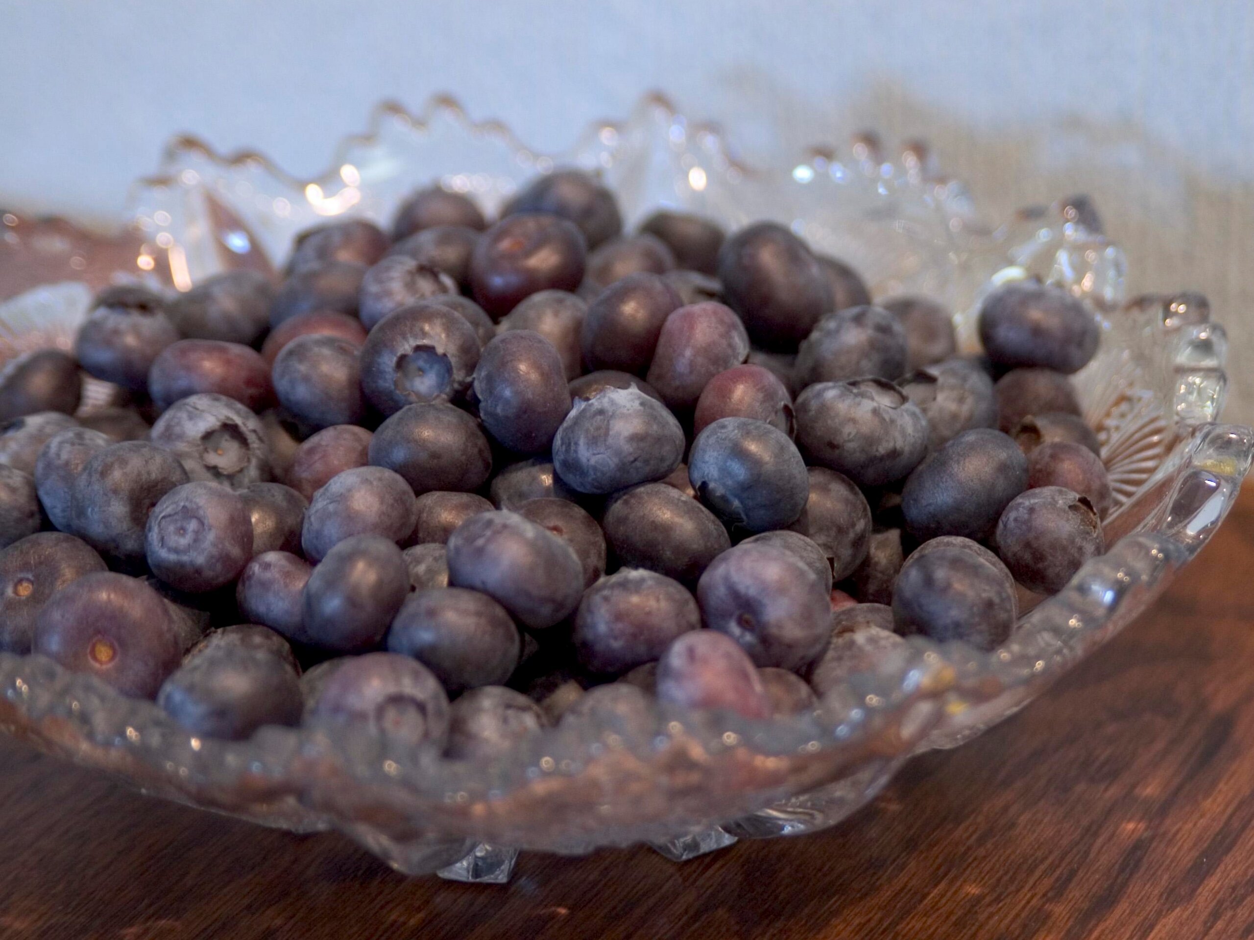 Blueberry, Northcountry