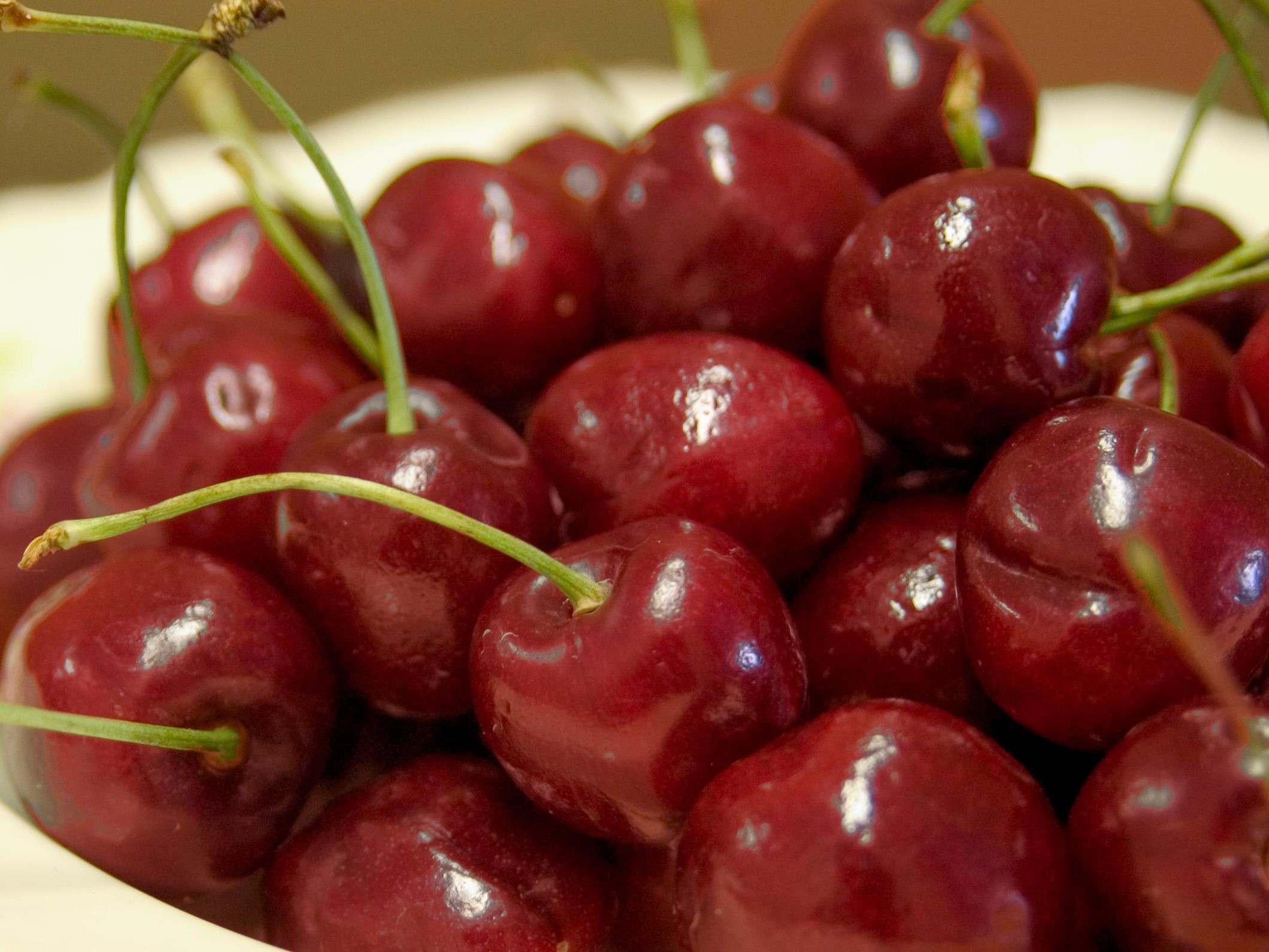 Cherry, Semi Dwarf Montmorency