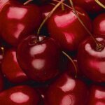 Cherry, Semi Dwarf Stella