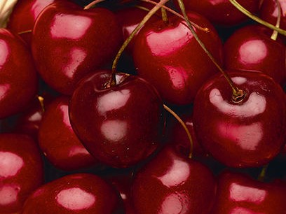 Cherry, Semi Dwarf Stella