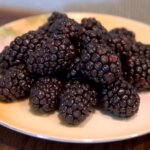 Raspberry, Black Bristol