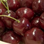 Cherry, 'Bing'