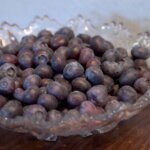 Blueberry, Northcountry